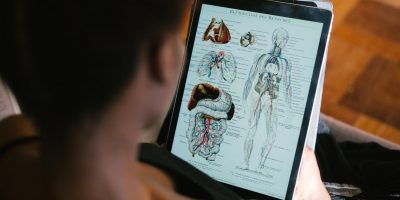anatomy-3 anatomy-3