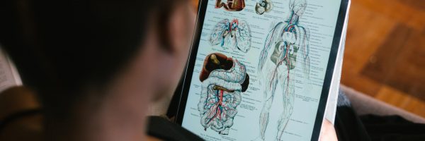 anatomy-3 anatomy-3